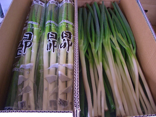 �T���v���C���[�W