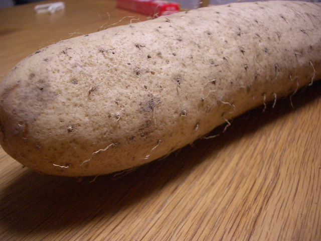 �T���v���C���[�W