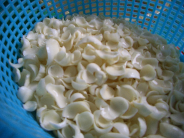 �T���v���C���[�W